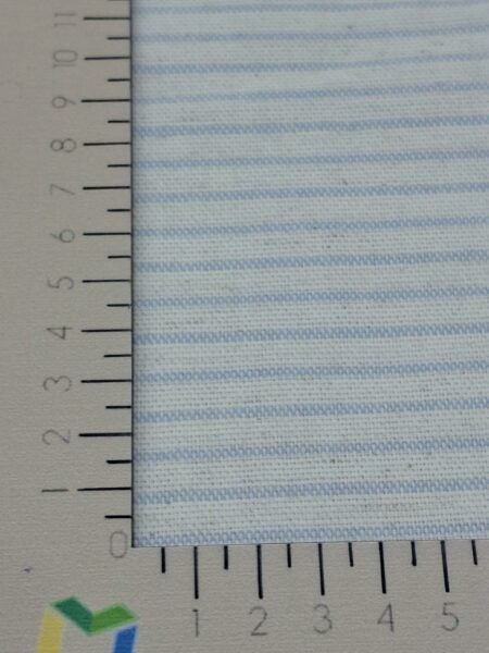 PURUS 2 VAR 1