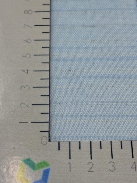 SANTA CATARINA VAR 1