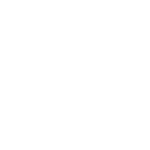 Estyllus
