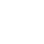Estyllus